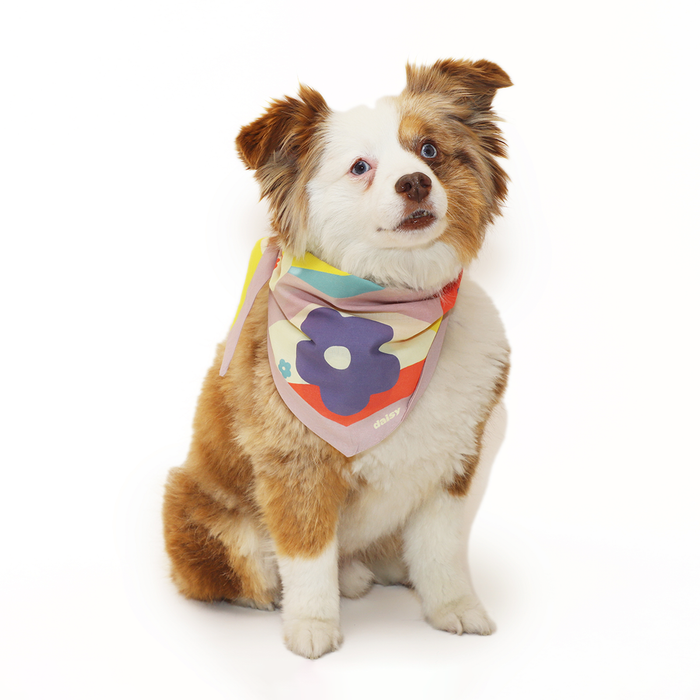 Daisy Scarf