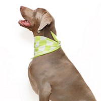 Oakley Scarf