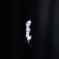 Baguette and Princess Cut Moissanite 2 Stone Helix Earring