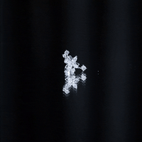 Certified Moissanite Flower Crawler Earring