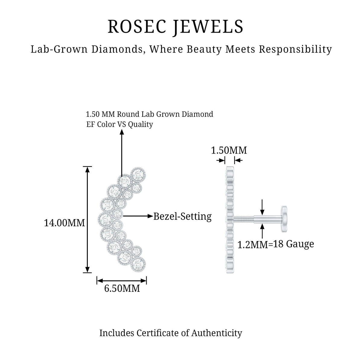 Diamond Curved Crawler Earring in Bezel Set