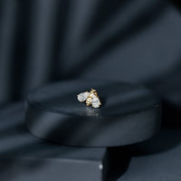 Pear Cut Moissanite Bee Earring for Cartilage Piercing