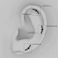 Graduated Style Black Onyx Crawler Earring