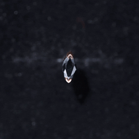 Natural 0.74 Carat Marquise Shape Black Onyx Conch Earring