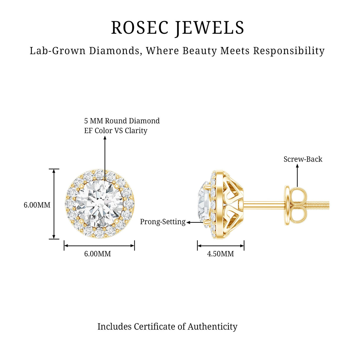 5 MM Round Lab Grown Diamond Halo Stud Earrings With Screw Back