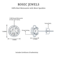 Certified Moissanite Halo Stud Earrings with Screw Back