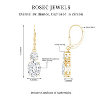 Minimal Zircon 2 Stone Drop Earrings with Lever Back