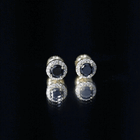 1.6 Carat Round Lab Created Black and White Diamond Halo Stud Earrings