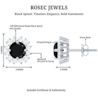 Natural Black Spinel Diamond Stud Earrings with Screw Back