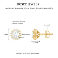 0.64 CTW Lab Grown Diamond Halo Stud Earrings (4mm, Screw Back)