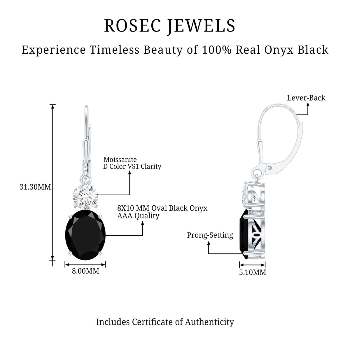 Natural 8X10mm Oval Black Onyx Drop Earrings with Lever Back