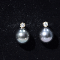 Genuine Tahitian Black Pearl Stud Earrings For Women