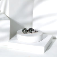 16 Carat Genuine Tahitian Black Pearl Stud Earring With Certificate