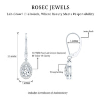 Lab Grown Diamond Drop Dangle Earrings With Lever Back