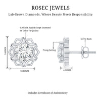 Lab Grown Diamond 1 Carat Stud Earrings With Screw Back