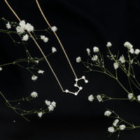 Moissanite Constellation Leo Zodiac Sign Necklace