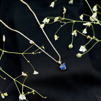 0.9 Carat Lab Grown Blue Sapphire Heart Necklace for Women