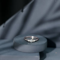 Certified Moissanite 3 Stone Promise Ring