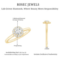 Certified Lab Grown Diamond Halo Promise Engagement Ring