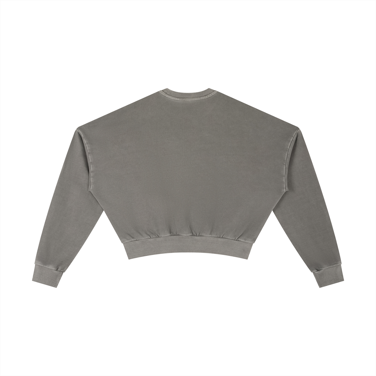 Built From Pain vintage washed cropped sweatshirt with distressed details and casual fit, shown in a close-up front view.