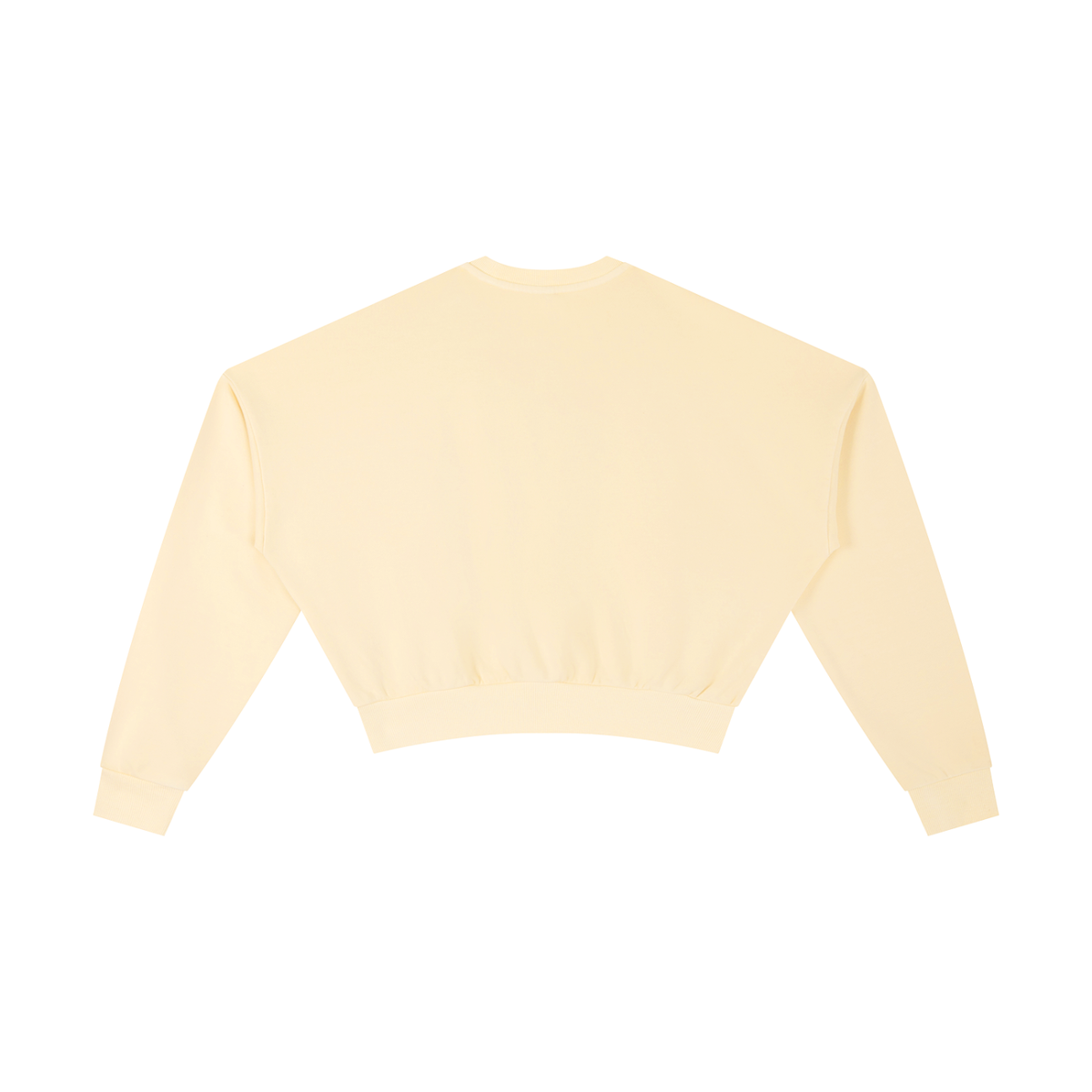 Vintage Washed Cropped Sweatshirt by Built From Pain, showing a relaxed fit with faded fabric and casual style.