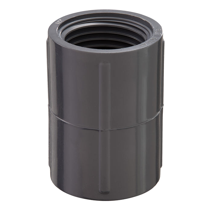 1/2" FPT PVC Coupling | 38413