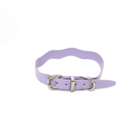 Dixie Lilac