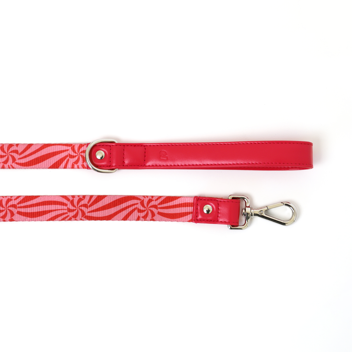 Ginger Leash