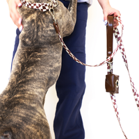 Hershey Leash