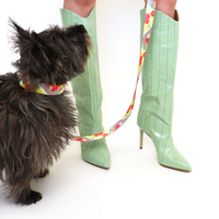 Daisy Leash