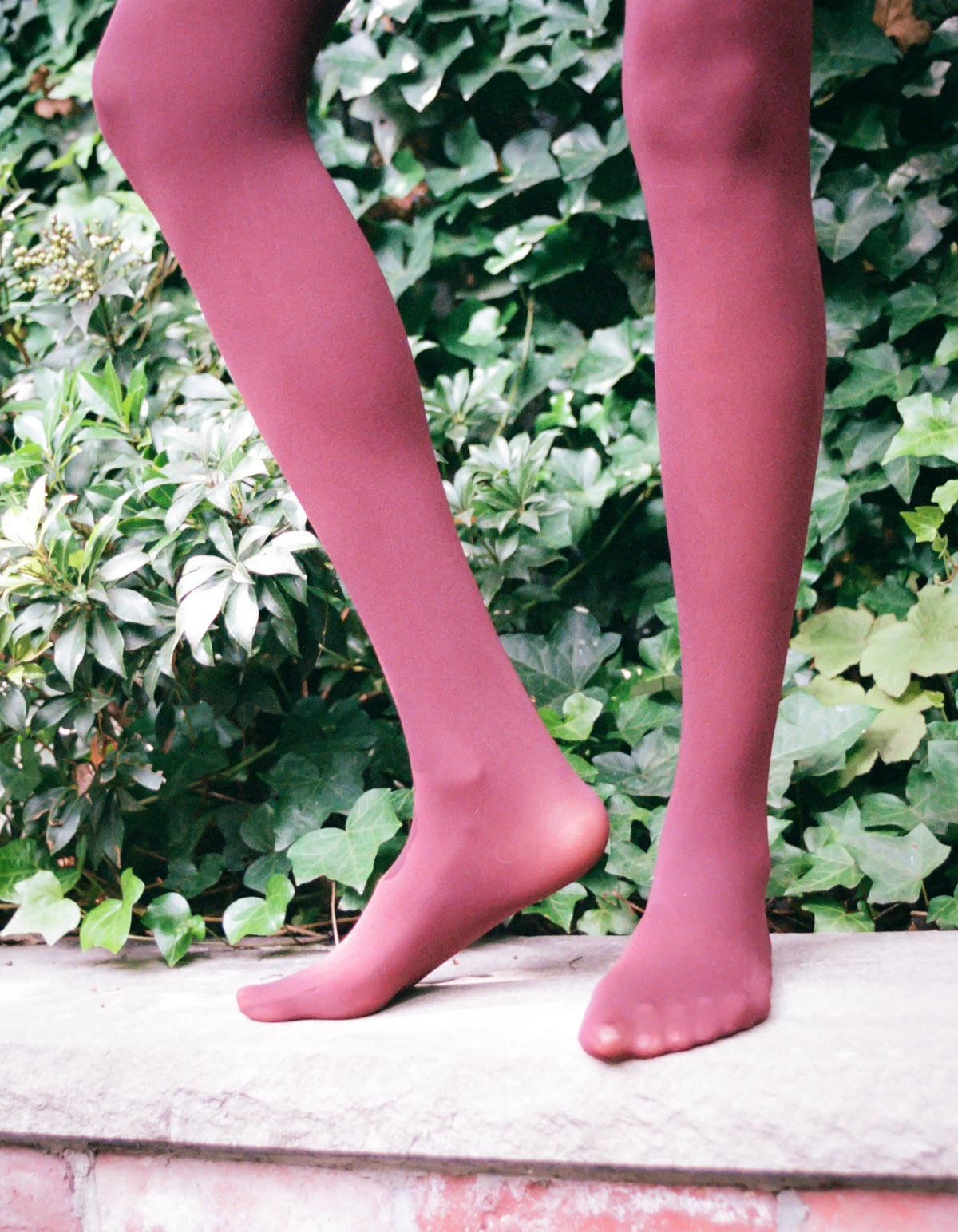 Semi Bordeaux hosiery by Les Belles Co featuring sheer, smooth fabric and elegant color for stylish legwear.