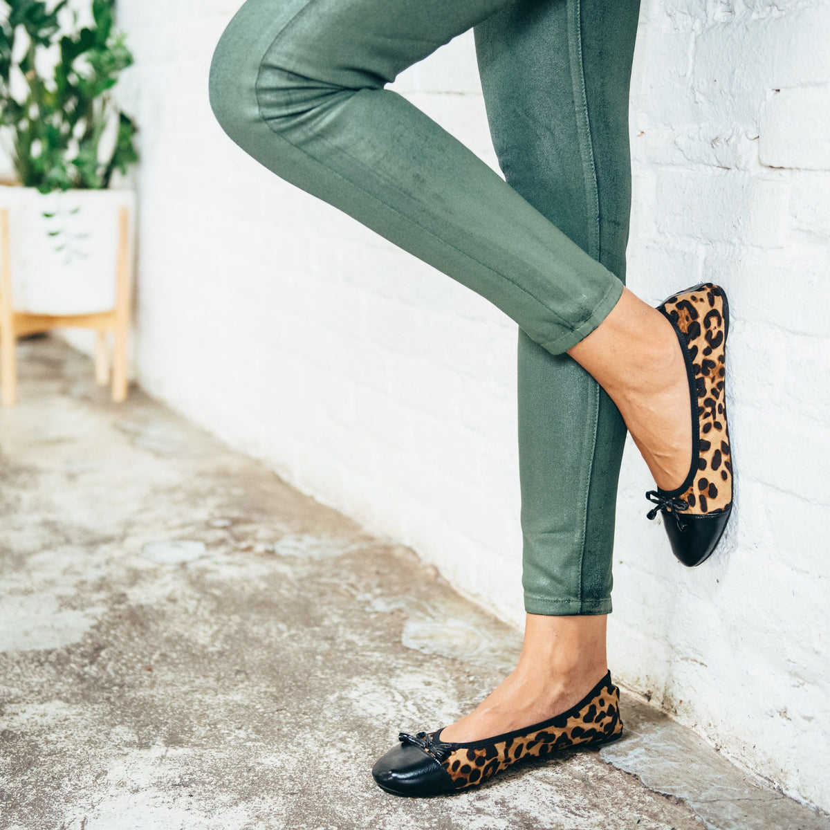 Talaria Flats premium leopard shoes featuring stylish leopard print flats with a sleek design and comfortable fit.